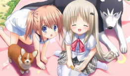 动漫十八禁,揭秘成人向作品的魅力与争议